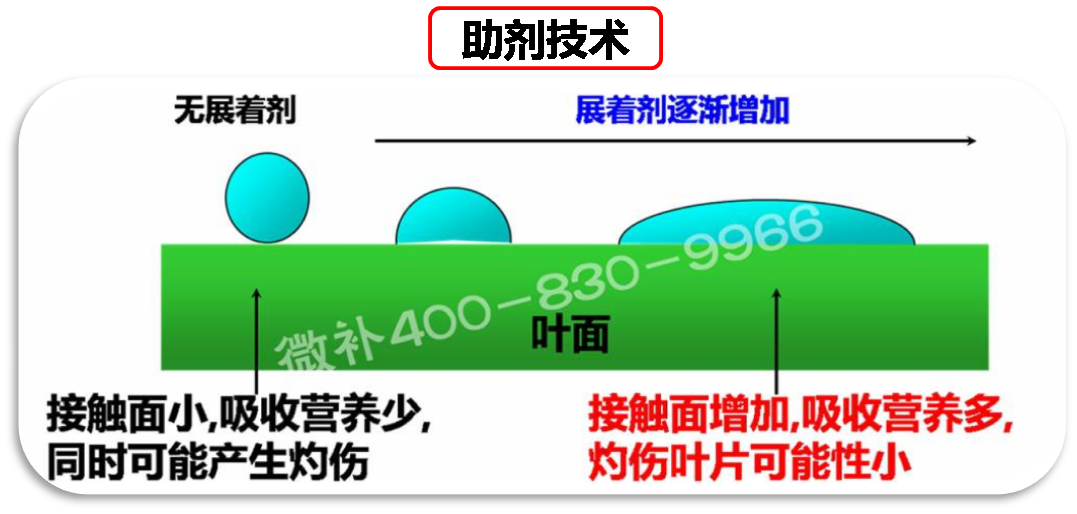 余教授德國(guó)鄉(xiāng)村行：我在德國(guó)為什么不會(huì)點(diǎn)啤酒了？