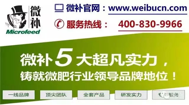 余教授奧地利鄉(xiāng)村行：萬(wàn)科為什么說(shuō)把奧地利小鎮(zhèn)搬回來(lái)？