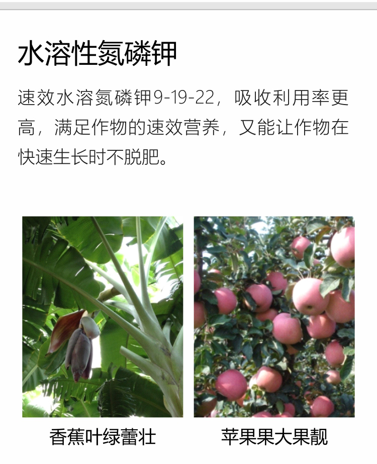 因迪樂精華粉詳情手機_04.jpg