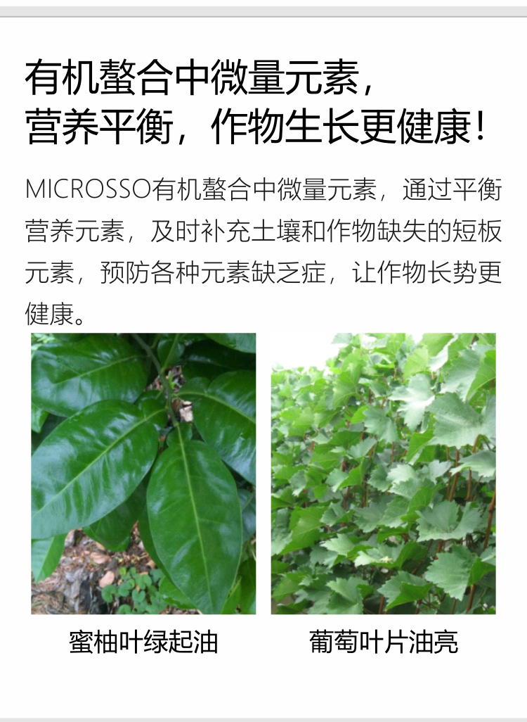 因迪樂精華粉詳情手機_05.jpg